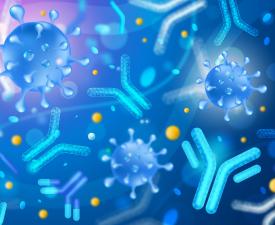 virus particles and antibodies