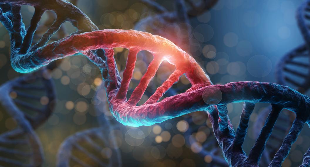 Colorful DNA