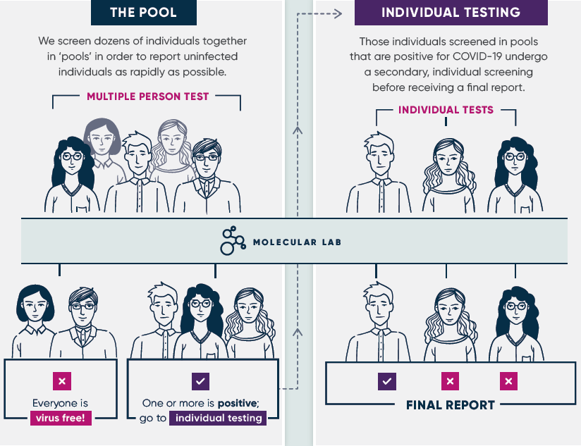 How Assure Works
