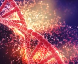 Red DNA strand